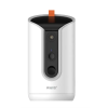 Arenti PETCAM1T
