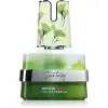 Armaf Scentasy Matcha Magix EDP 100 ml