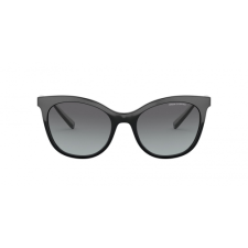 armani exchange AX4094S 8158/8G napszemüveg