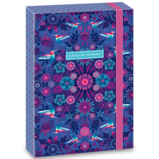 Ars Una : Cataline Estrada kék gumis füzetbox A/4-es füzet