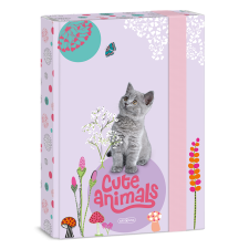 Ars Una Cute Animals-kitten A/5 Füzetbox (50863686) füzetbox