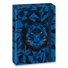 Ars Una Füzetbox ARS UNA A/4 Black Panther füzetbox
