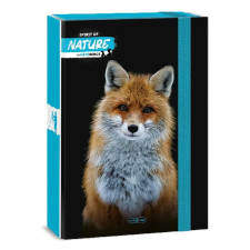 Ars Una Füzetbox ARS UNA A/4 Máté Bence-Fox füzetbox