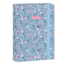 Ars Una Füzetbox ARS UNA A/4 Pearl Blossom Blue füzetbox