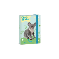 Ars Una Füzetbox ARS UNA A/5 Cuki-Koala füzetbox