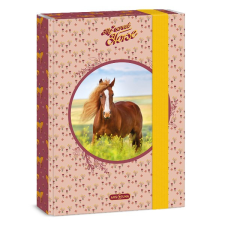 Ars Una Füzetbox ARS UNA A/5 My Sweet Horse füzetbox