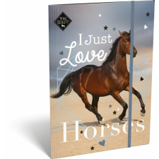 Ars Una Lovas/Wild Beauty Love A/4 gumis dosszié mappa