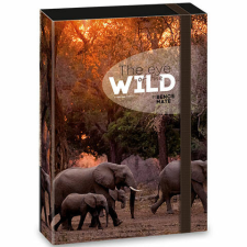 Ars Una : Máté Bence The Eyes of the Wild – Elefánt füzetbox A/4 füzetbox