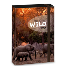 Ars Una : Máté Bence The Eyes of the Wild - Elefánt füzetbox A/4 füzetbox