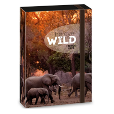 Ars Una : Máté Bence The Eyes of the Wild elefántos füzetbox A/5 füzetbox