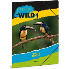 Ars Una Máté Bence toucan 5165 A4 gumis mappa mappa