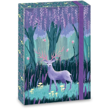 Ars Una Midnight Wish 5129 A5 füzetbox füzetbox