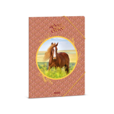 Ars Una : My Sweet Horse lovas gumis mappa A/4 mappa