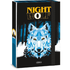 Ars Una Nightwolf 23 (5257) A4 füzetbox füzet