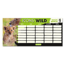 Ars Una Órarend ARS UNA egylapos kétoldalas Icons of the Wild-Lions órarend