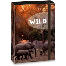 Ars Una The eyes of the wild elephant 5217 A4 füzetbox füzetbox