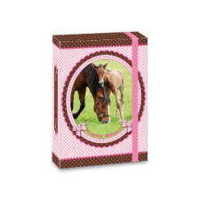Arsuna : My Horse füzetbox A/5-ös méretben - Egyéb füzetbox