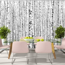 Artgeist Fotótapéta - Birch forest tapéta, díszléc és más dekoráció