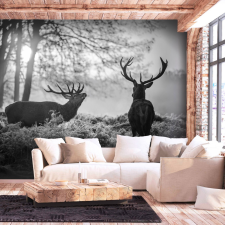 Artgeist Fotótapéta - Deers in the Morning 150x105 grafika, keretezett kép