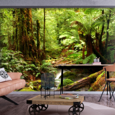 Artgeist Fotótapéta - Forest Brook 450x315 tapéta, díszléc és más dekoráció