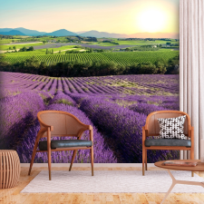 Artgeist Fotótapéta - Lavender Field 400x280 tapéta, díszléc és más dekoráció