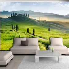 Artgeist Fotótapéta - Morning in the countryside 350x245 tapéta, díszléc és más dekoráció