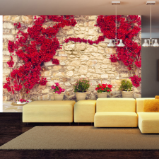 Artgeist Fotótapéta - Warm afternoon 250x175 tapéta, díszléc és más dekoráció