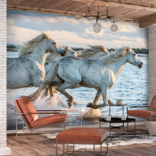 Artgeist Fotótapéta - Wild Race 100x70 grafika, keretezett kép