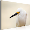 Artgeist Kép - Snowy Egret (1 Part) Wide 90x60