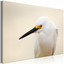 Artgeist Kép - Snowy Egret (1 Part) Wide 90x60 grafika, keretezett kép