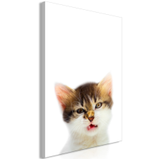 Artgeist Kép - Vexed Cat (1 Part) Vertical 40x60 grafika, keretezett kép