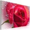 Artgeist Vászonkép - Lady Rose - triptych 120x80