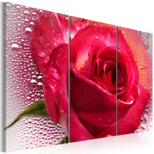 Artgeist Vászonkép - Lady Rose - triptych 120x80 grafika, keretezett kép