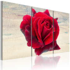 Artgeist Vászonkép - Lyrical rose 120x80 grafika, keretezett kép