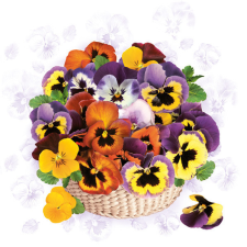 Árvácska Colourful szalvéta 20 db-os 33x33 cm party kellék