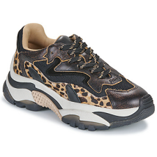 Ash Rövid szárú edzőcipők ADDICT Fekete 38 női cipő