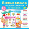 АСТ 13 первых плакатов под одной обложкой. Всё что нужно знать. 0-3 года – Валентина Дмитриева