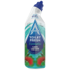 Astonish Cleaners Europe Ltd. Astonish WC frissítő gél eukaliptusz illattal 750 ml