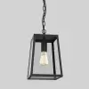 Astro Lighting Astro Lighting CALVI 1306013 Függőlámpa 1x60W/E27 IP44