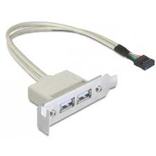 Asus DeLock Slot konzol USB 2.0 low profile 2 port (83119) villanyszerelés