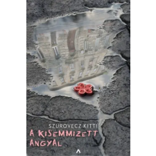 Athenaeum Kiadó A kisemmizett angyal regény