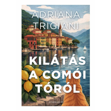 Athenaeum Kiadó Kilátás a Comói-tóról regény