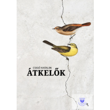  Átkelők regény