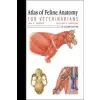  Atlas of Feline Anatomy For Veterinarians – William Hamilton