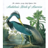  Audubon's Birds Of America – Roger Tory