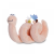 AURORA GIFT Csodakukac plüss figura 20cm