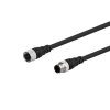 Autonics C1D8-5T - Szenzor kábel M12 DC 5m 8-vezetékes 8 tűs, 1: | csatl. aljzat 2: | csatl. dugó