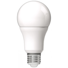 Avide LED Globe izzó A70 16W E27 CW 6400K izzó