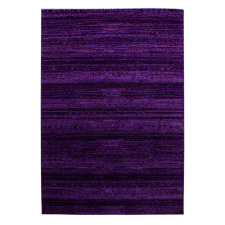 Ay PLUS 8000 140 x 200 cm lila Modern szőnyeg lakástextília