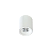 Azzardo -2845 MANE FEHÉR SZÍNŰ MENNYEZETI LÁMPA LED 10W 850LM 3000K IP20